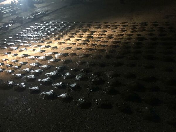 Незаконный вылов камбалы в Азовском море украинским судном Незаконный вылов камбалы в Азовском море украинским судном