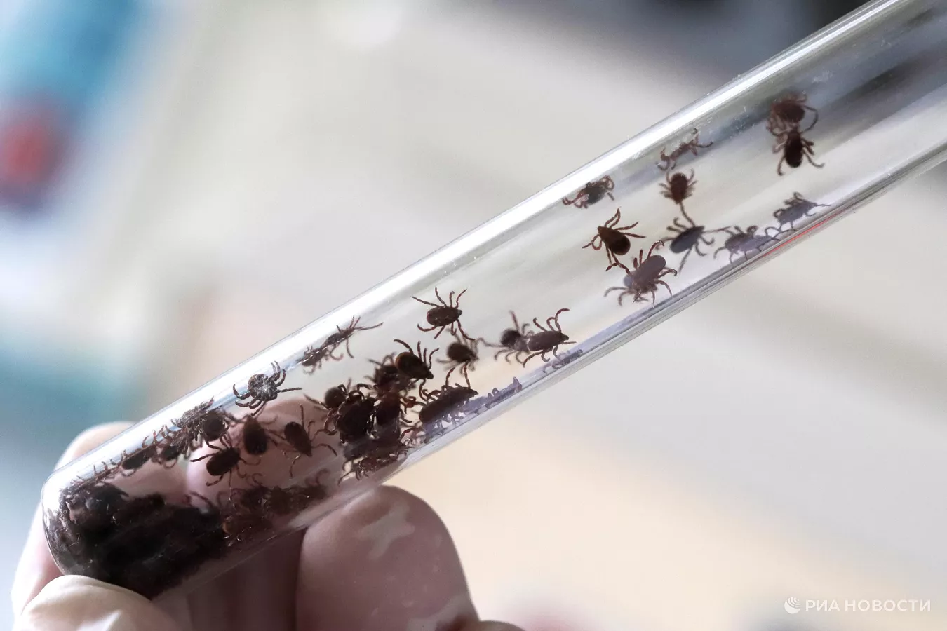 1568476481_0:0:3071:2048_1440x900_80_1_1_a9a6cb66de3b00a556bf05bd7533bed7.jpg.webp?source-sid=rian_photo