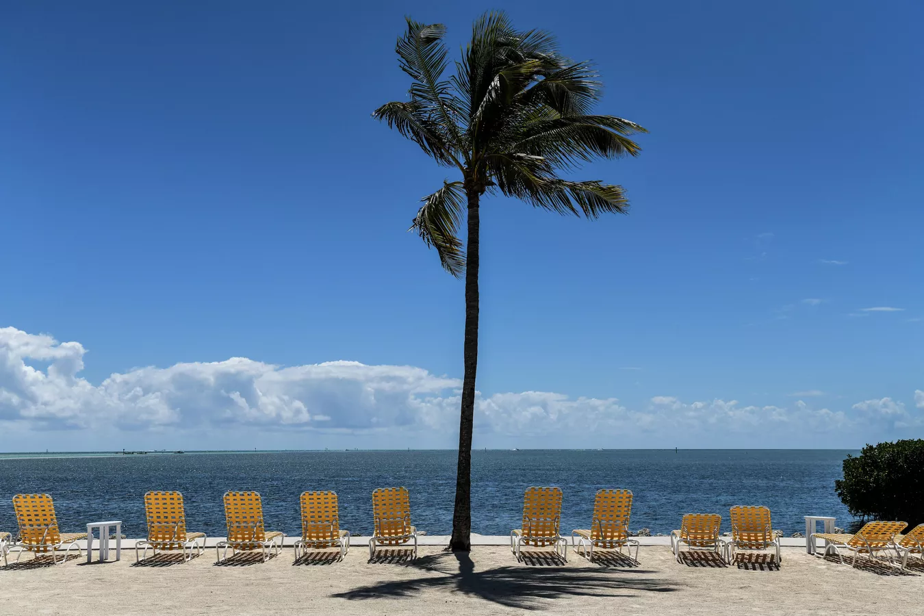 Флоридагийн наран шарлагын газар хүнгүй болжээ. © AFP 2020 / Chandan Khanna