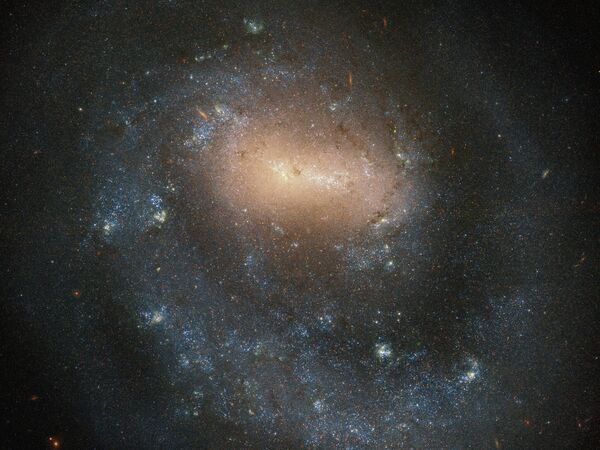 Галактика NGC 4618 в созвездии Гончие Псы Галактика NGC 4618 в созвездии Гончие Псы