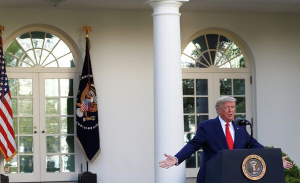 Президент США Дональд Трамп во время ежедневного брифинга по ситуации с коронавирусом Президент США Дональд Трамп во время ежедневного брифинга по ситуации с коронавирусом