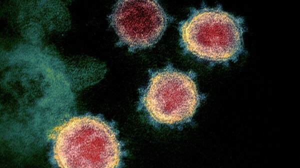 В России нет южноафриканского штамма коронавируса, заявили в "Векторе"