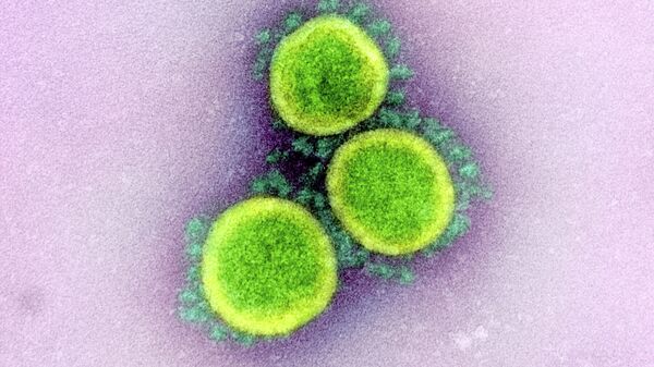 В России нет южноафриканского штамма коронавируса, заявили в "Векторе"