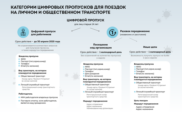 Категории цифровых пропусков для поездок на транспорте в Москве Категории цифровых пропусков для поездок на транспорте в Москве