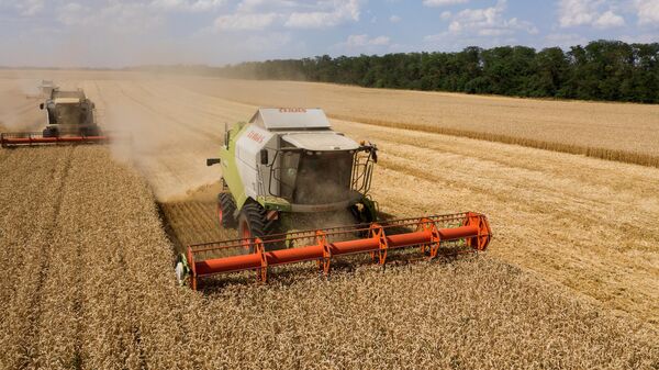 В Ивановской области планируют собрать урожай зерновых выше прошлогоднего