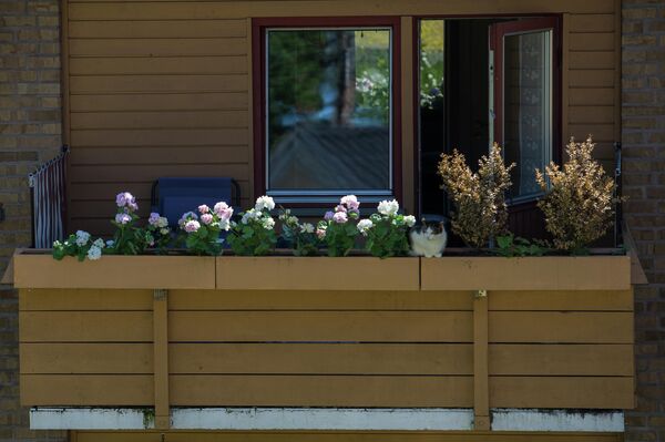 Города мира. Осло Города мира. Осло