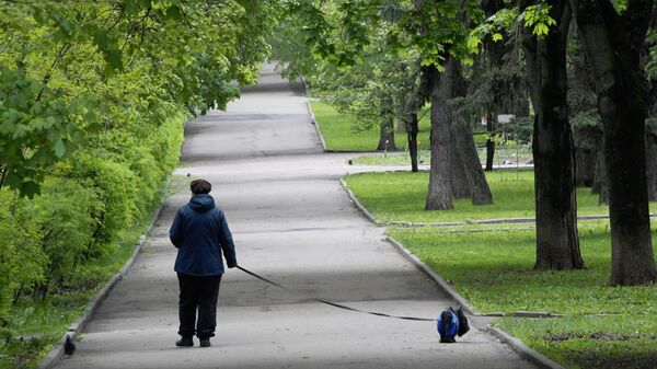 Жительница Москвы выгуливает собаку на улице Крупской Жительница Москвы выгуливает собаку на улице Крупской