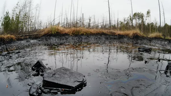 В Коми произошел разлив семи тонн нефти