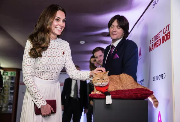 Герцогиня Кембриджская приветствует кота Боба, звезду   фильма Уличный кот по имени Боб и его владельца Джеймса Боуэна на премьере фильма в Лондоне