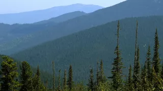 Вид с перевала Кулумыс на горную тайгу в Красноярском крае Вид с перевала Кулумыс на горную тайгу в Красноярском крае - РИА Новости, 1920, 30.09.2020