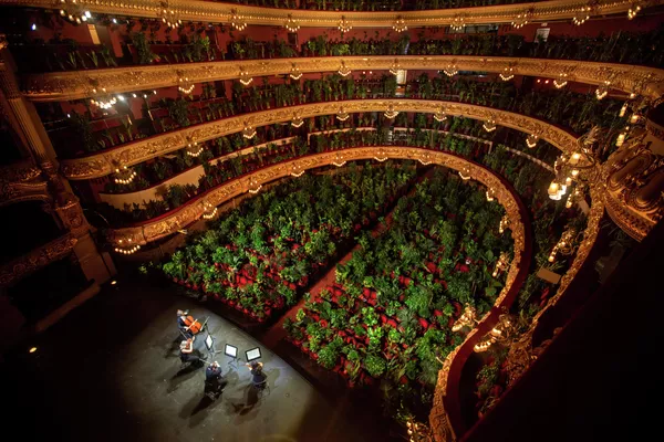 Концерт для 2 292 цветов на сцене Оперного театра Лисеу в Барселоне