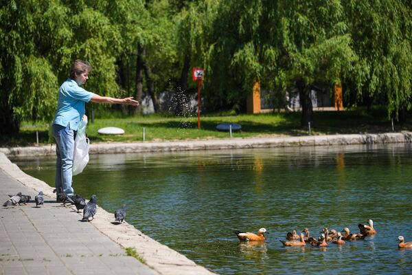 Благоустройство парка в Москве Благоустройство парка в Москве
