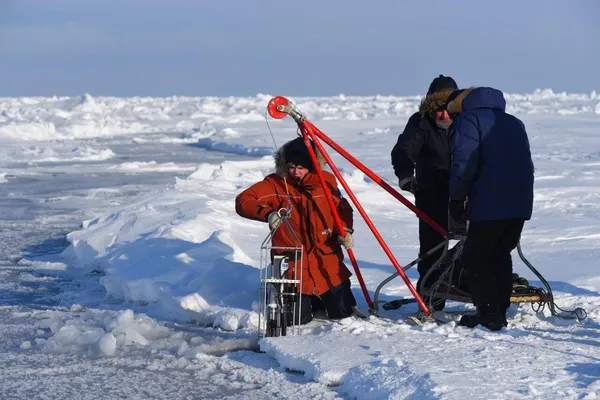  Океанологический разрез во время экспедиции Трансарктика - 2019 