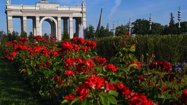 Сезон катания на лодках открылся на ВДНХ Сезон катания на лодках открылся на ВДНХ