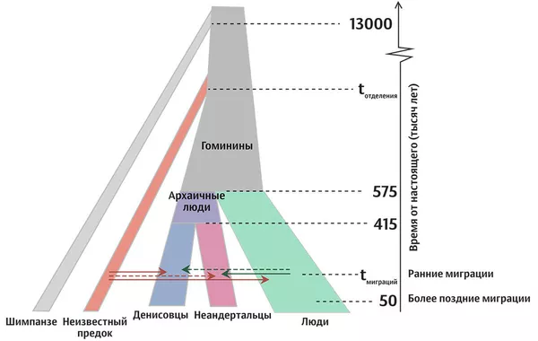 Модель древних популяций
