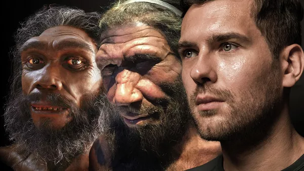 Неизвестные предки Homo sapiens