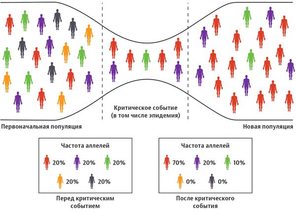 Эффект бутылочного горлышка Эффект бутылочного горлышка