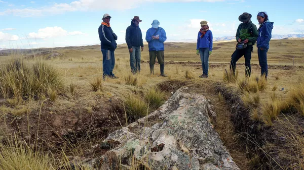 Гигантское ископаемое дерево, обнаруженное на Центральном плато в Перу