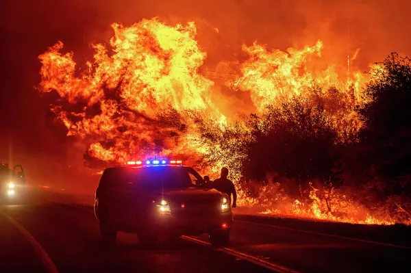 Лесной пожар в американском штате Калифорния