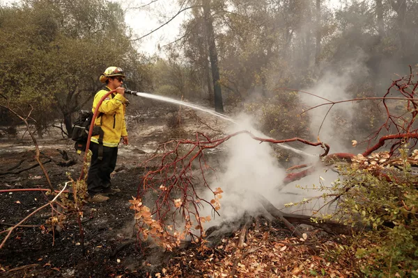 Пожарный возле водохранилища Оровилл в американском штате Калифорния