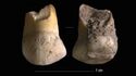 Верхний молочный клык принадлежал ребенку-неандертальцу в возрасте 11 или 12 лет