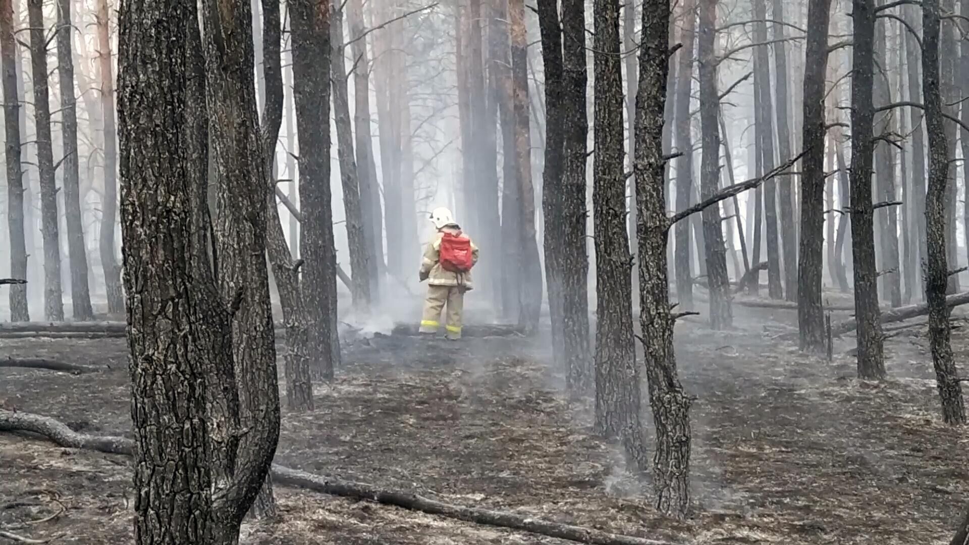 В России за сутки потушили 81 природный пожар