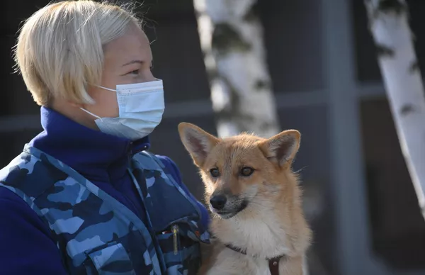 Кинолог с одной из служебных собак кинологического подразделения авиакомпании Аэрофлот в аэропорту Шереметьево