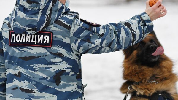 Кинологический центр УВД на Московском метрополитене Кинологический центр УВД на Московском метрополитене