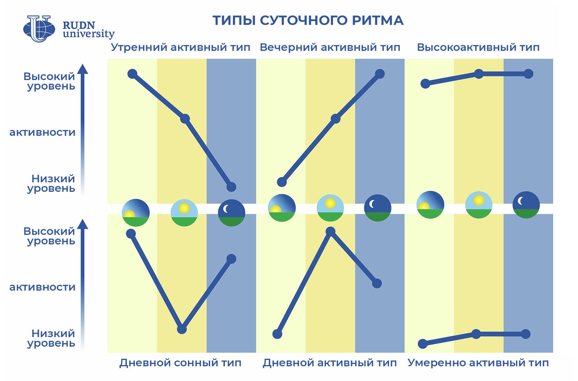 Типы ритма