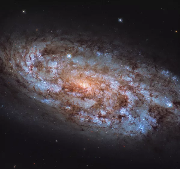 Галактика NGC 1792 в созвездии Голубь