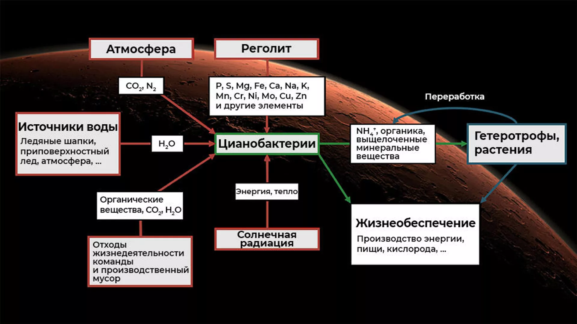 Системы жизнеобеспечения на основе цианобактерий на Марсе - РИА Новости, 1920, 02.03.2021