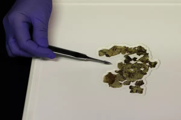 Недавно обнаруженный фрагмент свитка древнего библейского текста в Иерусалиме 