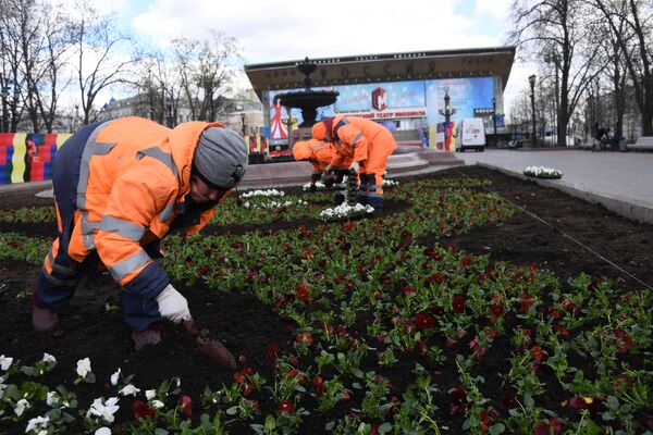 Высадка цветов в Москве Высадка цветов в Москве