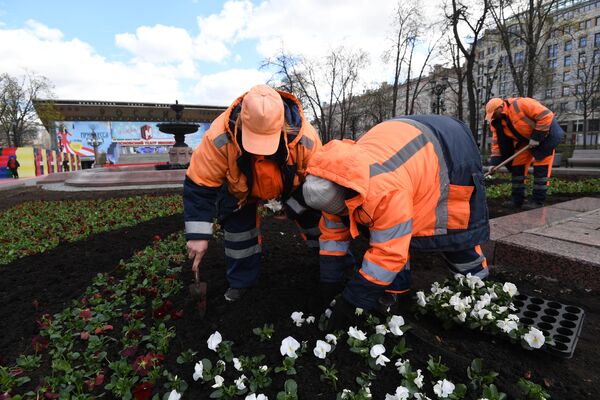 Высадка цветов в Москве Высадка цветов в Москве