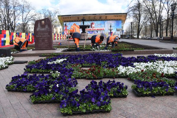 Высадка цветов в Москве Высадка цветов в Москве