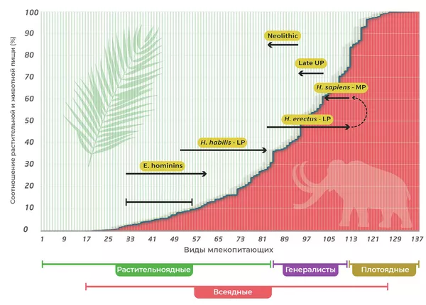 Схема положения в трофической цепи Homo sapiens и его предков. Вертикальные линии на диаграмме отражают соотношение растительной (зеленым) и животной (красным) пищи в структуре питания каждого из 137 основным видов млекопитающих. Отдельно выделен отряд приматов. E. hominins - ранние гоминины: австралопитеки и парантропы; LP - нижний палеолит; MP - средний палеолит; Late UP - поздний верхний палеолит; Neolithic - неолит