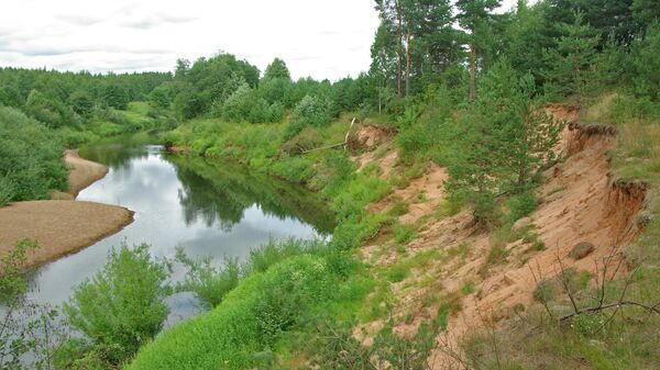 Новгородские власти выясняют причины массовой гибели рыбы в реке Холова