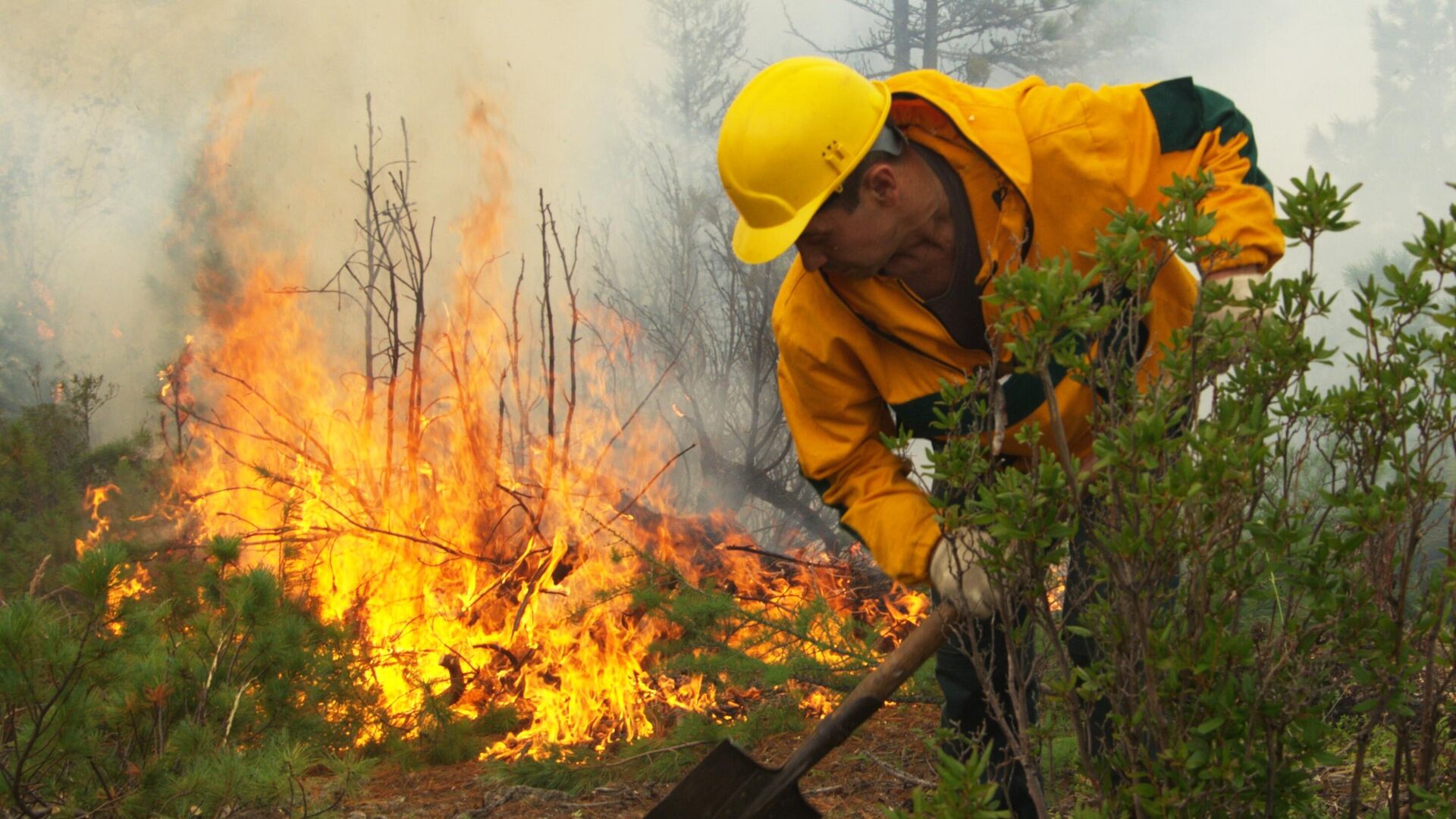 В Якутии с начала сезона зарегистрировали более тысячи лесных пожаров  