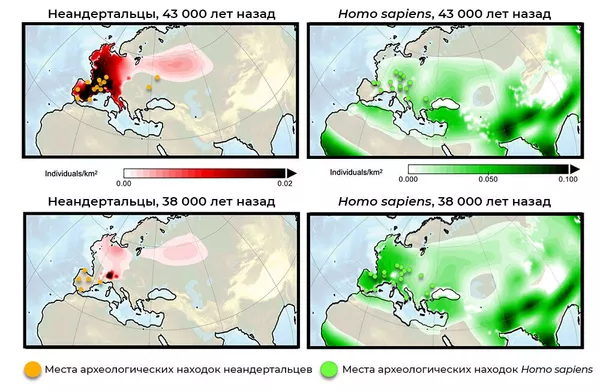 Результаты компьютерного моделирования плотности населения неандертальцев (слева) и Homo sapiens (справа) в Европе
