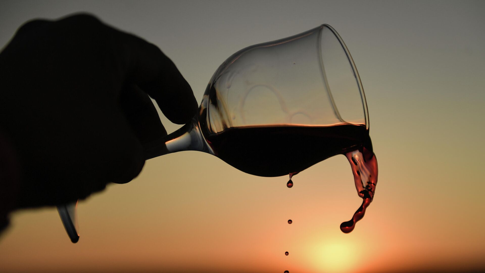В Греции рассказали о рекордных поставках вина в Россию в этом году 