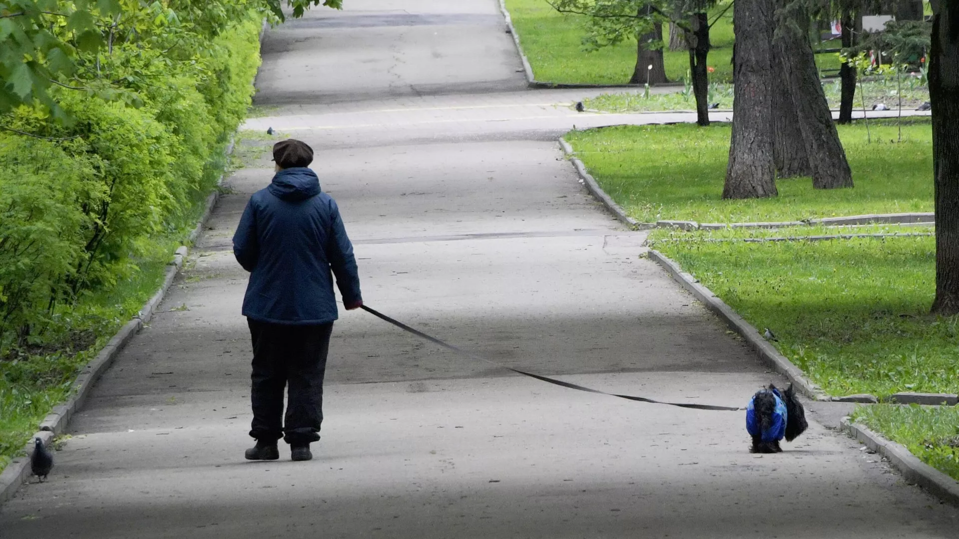 Женщина с собакой во время прогулки - РИА Новости, 1920, 15.09.2021