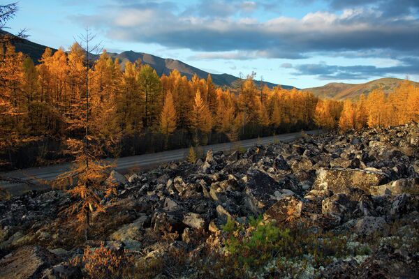 Осень в Магаданской области, Дальний Восток Осень в Магаданской области, Дальний Восток