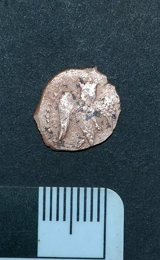 1749473454_0:0:1010:1640_1440x900_80_0_1