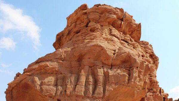 Ученые определили возраст гигантских статуй верблюдов в Северной Аравии
