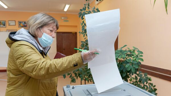 Сенатор предсказал всплеск фейков о "нелегитимности" выборов 19 сентября