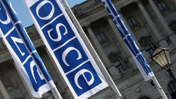 Флаги с логотипом ОБСЕ Флаги с логотипом ОБСЕ