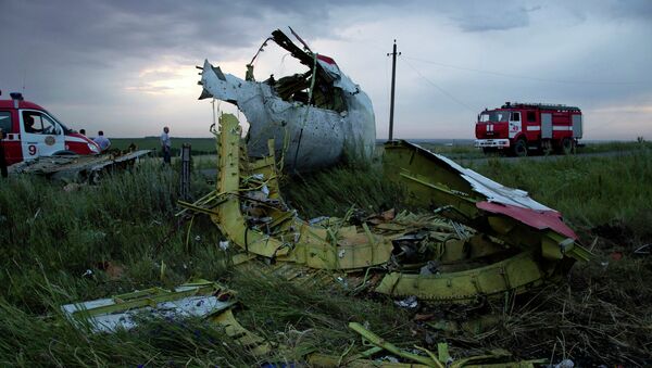 Место крушения малайзийского лайнера Boeing 777 в районе Шахтерска. Архивное фото Место крушения малайзийского лайнера Boeing 777 в районе Шахтерска. Архивное фото
