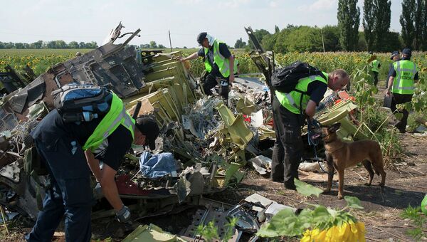 Международные следователи на месте крушения Boeing 777 компании Malaysia Airlines. Архивное фото Международные следователи на месте крушения Boeing 777 компании Malaysia Airlines. Архивное фото