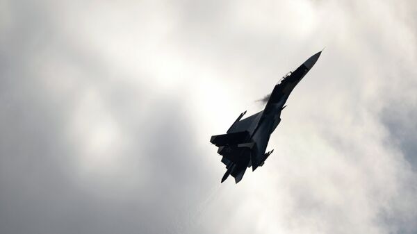 Истребитель Су-27. Архивное фото Истребитель Су-27. Архивное фото