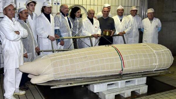 Гигантская дзампоне - фаршированная свиная нога из Модены Гигантская дзампоне - фаршированная свиная нога из Модены